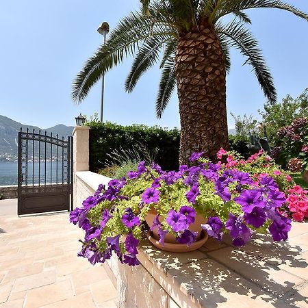 Maniva Penthouse By The Sea Apartamento Kotor Exterior foto