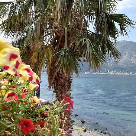 Maniva Penthouse By The Sea Apartamento Kotor Exterior foto