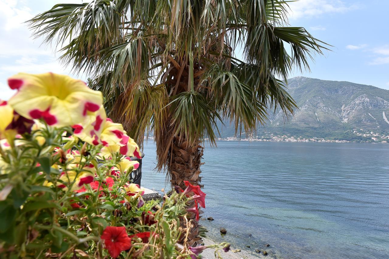 Maniva Penthouse By The Sea Apartamento Kotor Exterior foto
